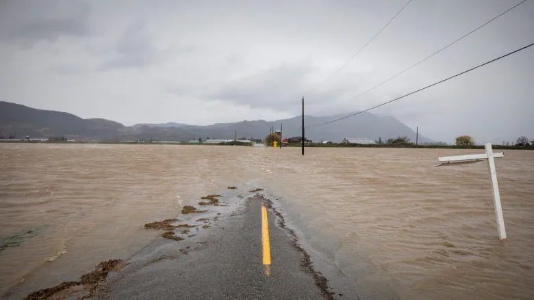 Climate & Cargo: Flooding in BC's Fraser Valley